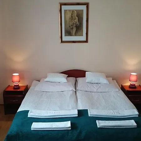 Pod Kamykiem Hotel Rzaska