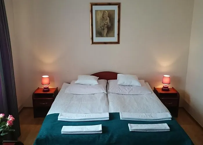 Pod Kamykiem מלון Rząska