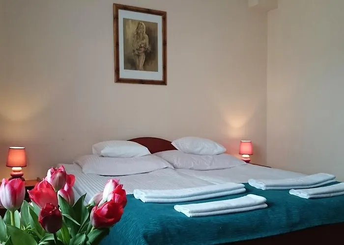 Pod Kamykiem מלון